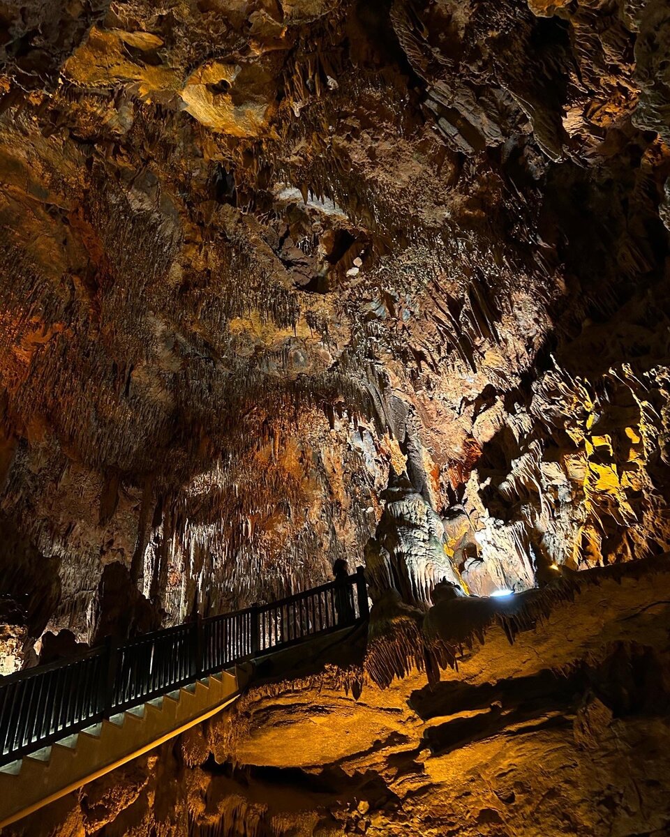 Вид с нижнего этажа со скамейки)
