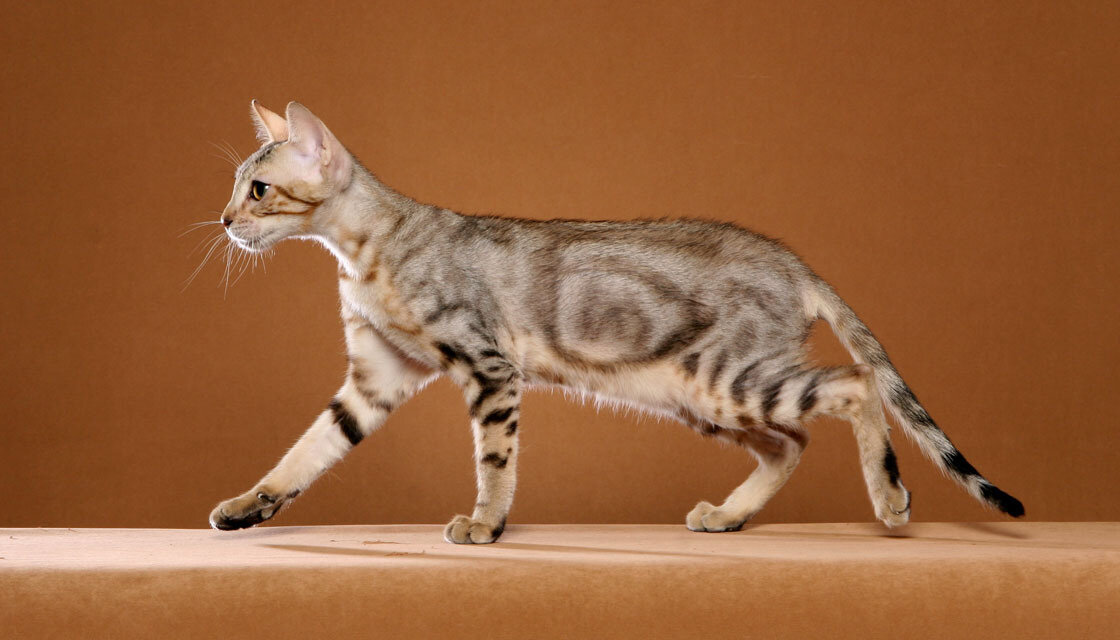 Фото с сайта Окна Панорама