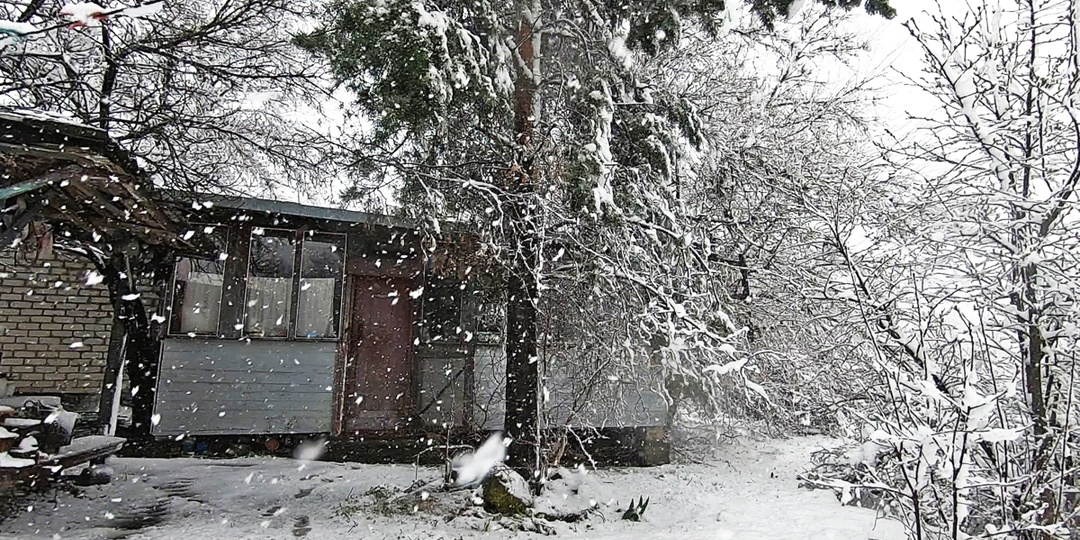 12 дней без электричества