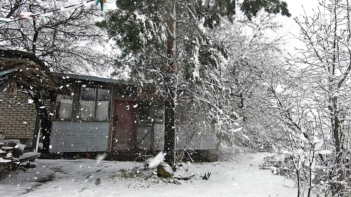 Во время снегопада