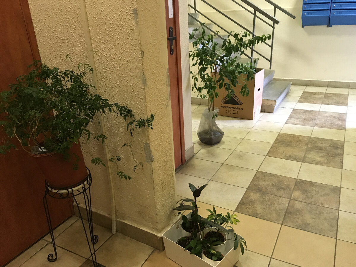 Упаковка никакая. Выставляли в подъезд как есть, благо что не забрали себе никого милые соседи