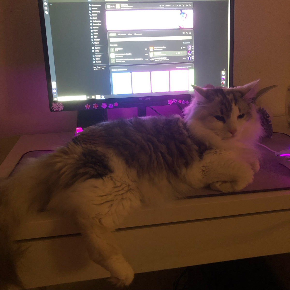 Лекси - вредная