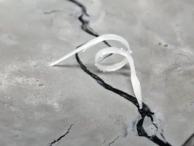    Робот-росток сливается с окружением для его лучшего понимания