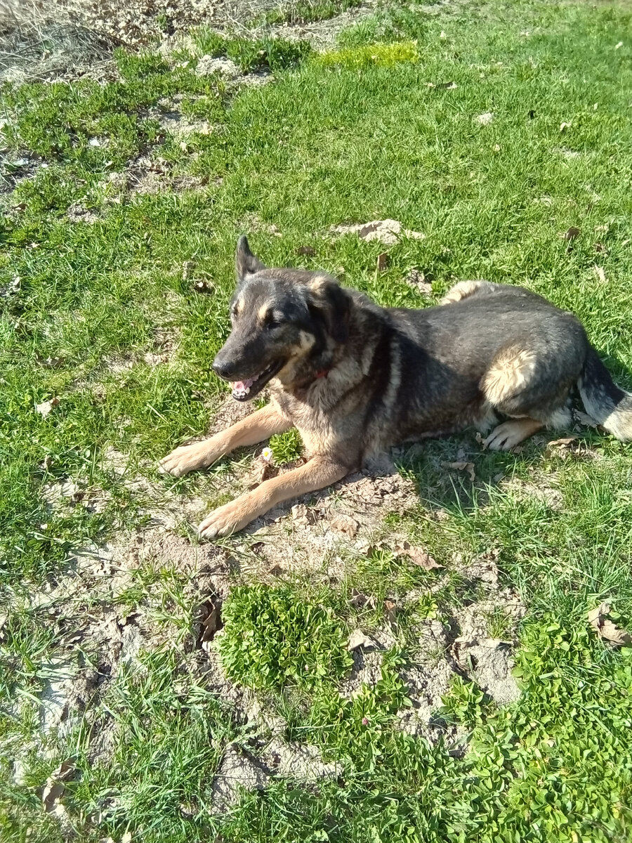 Фото автора. 