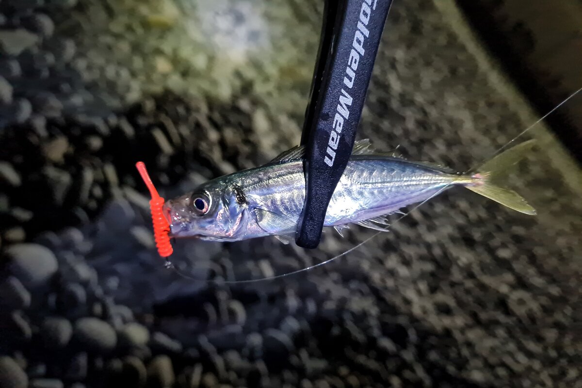 Создать карусельДобавьте описание