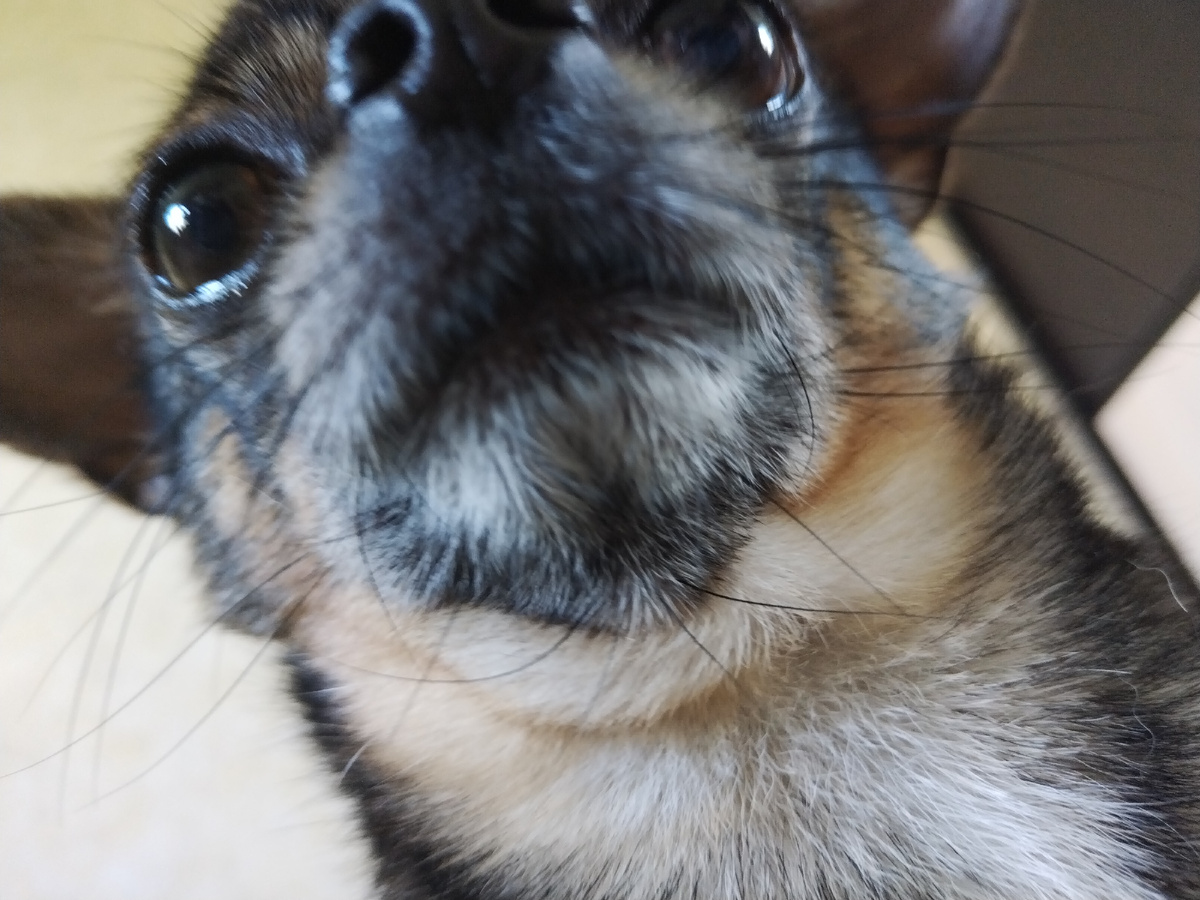 Вот снова я