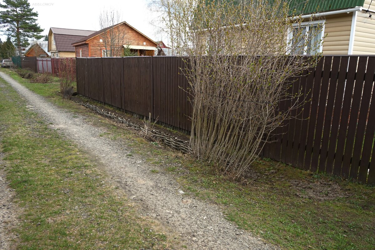 Sony Alpha A7, Sony FE 28-70/3.5-5.6 OSS