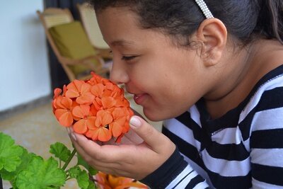    девушка нюхает цветок © Pixabay