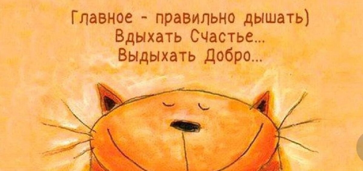 Умные мысли с утра картинки прикольные