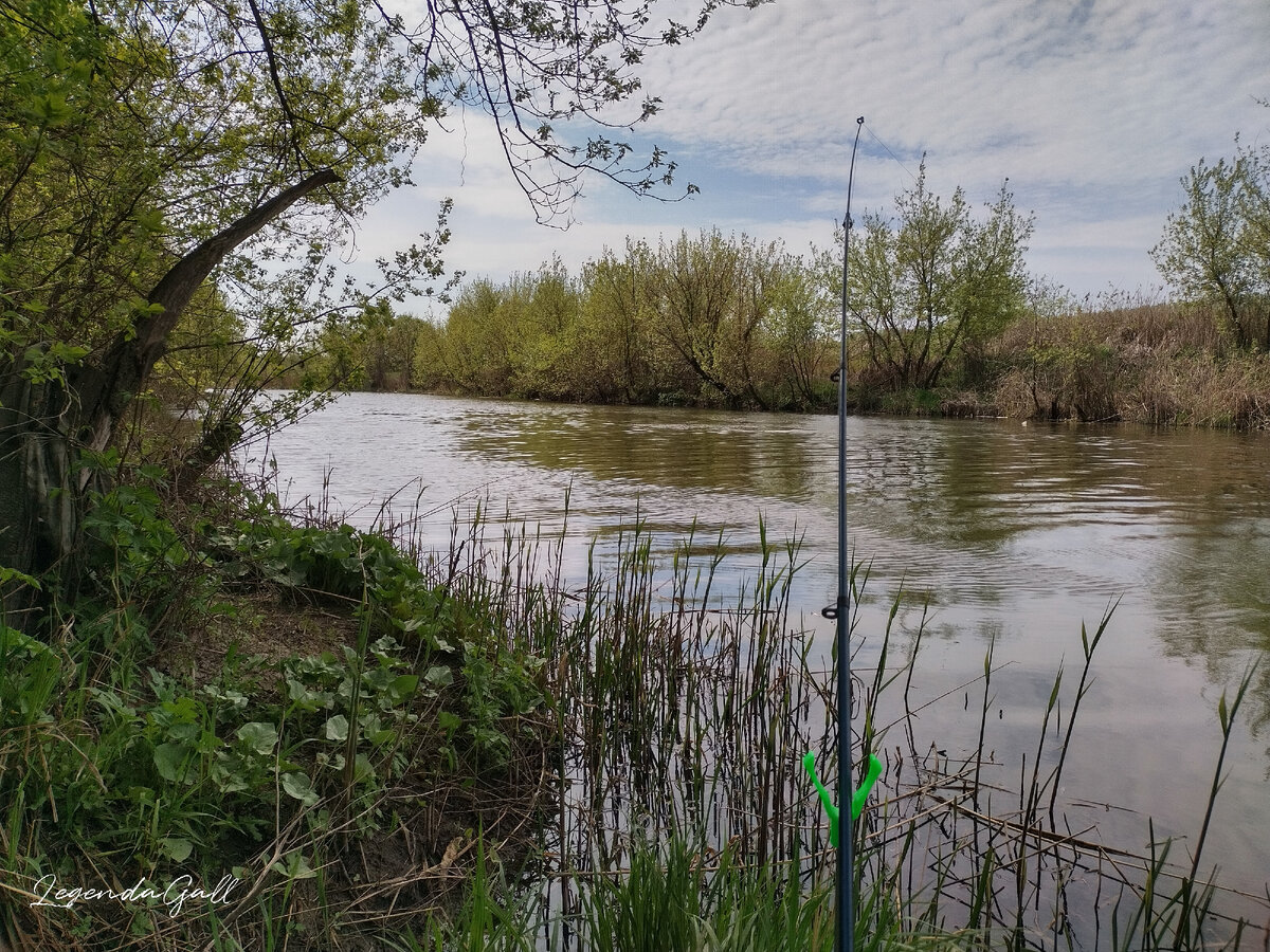 Не только рябь, настоящие волны гонит ветерок