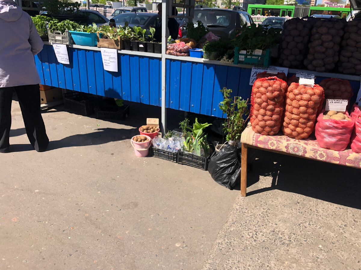 Разные сорта от рубля до двух за кг.