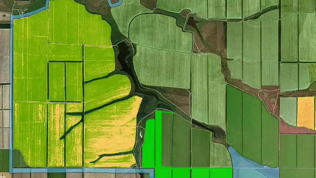 Фото:agrosignal.com