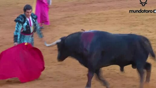 Matador ( видео). Релевантные порно видео Matador смотреть на ХУЯМБА