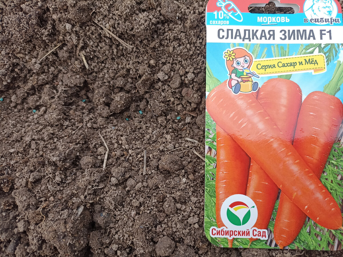 Понравились семена Сибирского сада. Обработаны и легко сеять разноцветные. Фото автора
