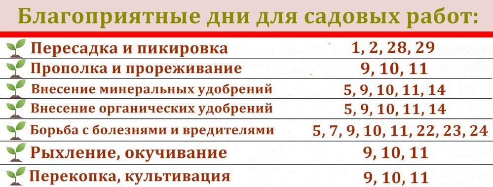 Календарь цветовода на год Удачный лунный посевной календарь на май 2023 года Центр Садовода Оренбург Дзен