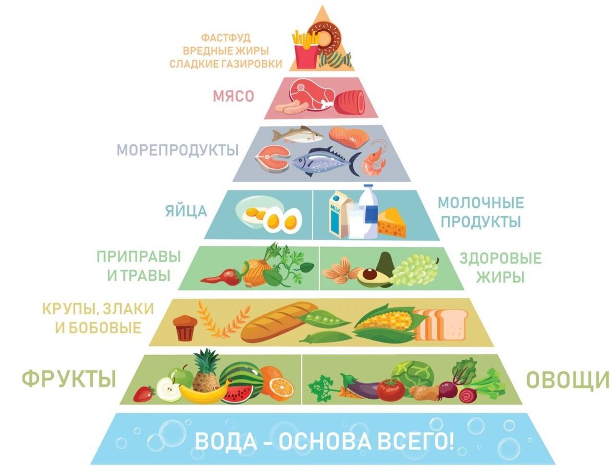 Правильное питание | КГУ им. К.Э. Циолковского | Дзен