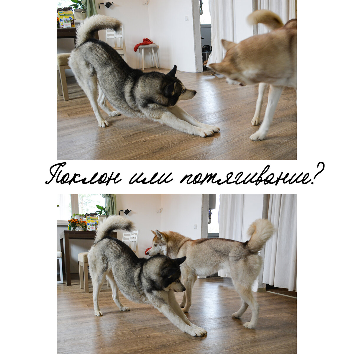 вопреки расхожему