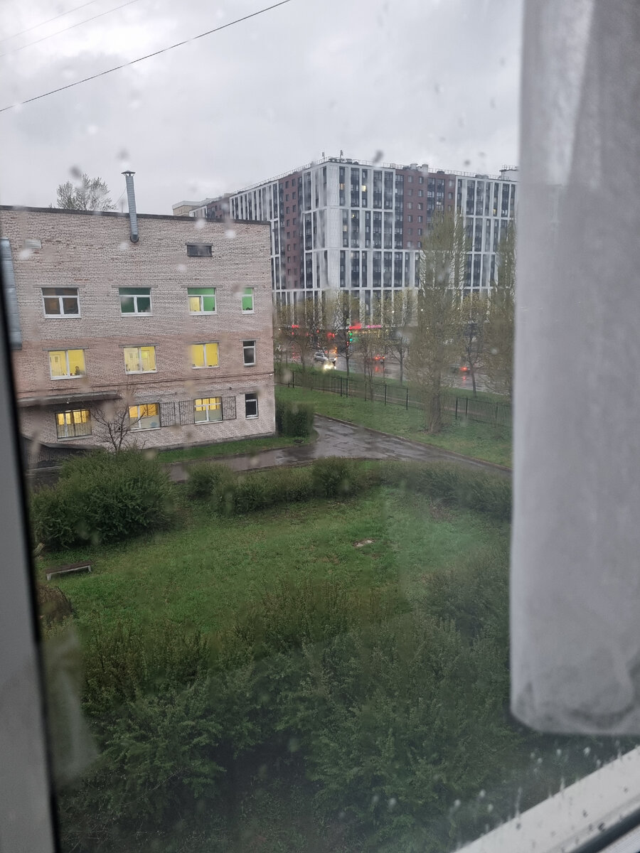 Мир из окна больницы