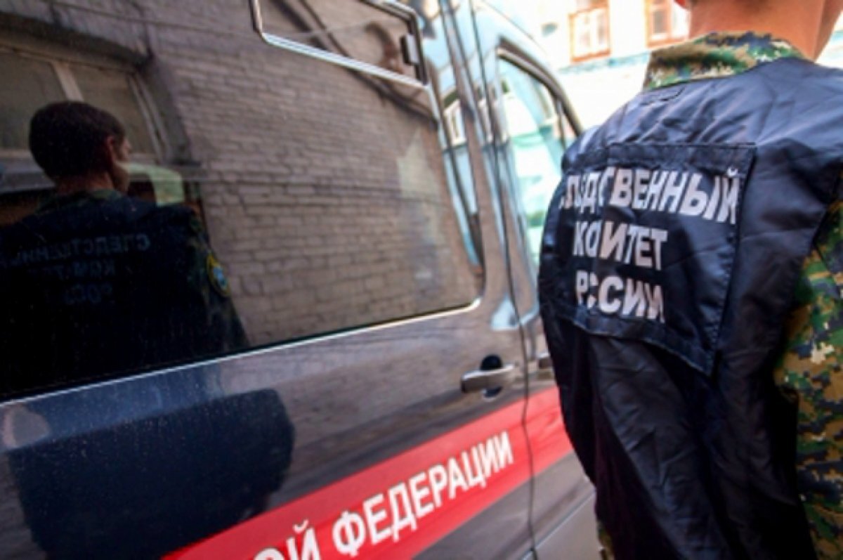    СК: убийство свахи Нины Кузьминой в Красноярске организовала её знакомая