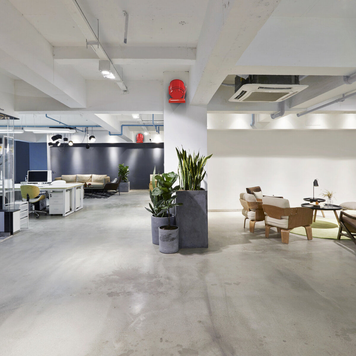 Фото: https://www.sobolevsky.ru/