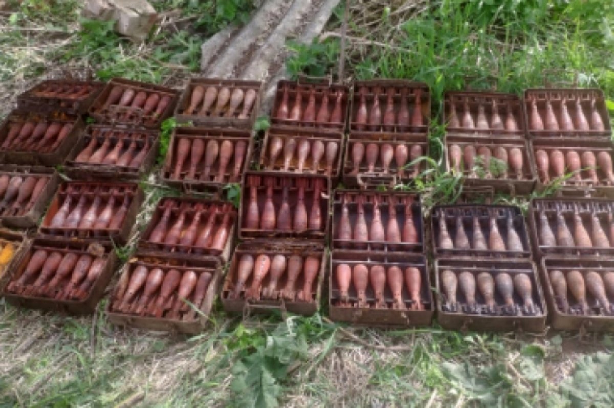    В доме орловского пенсионера обнаружили 140 мин времен ВОВ