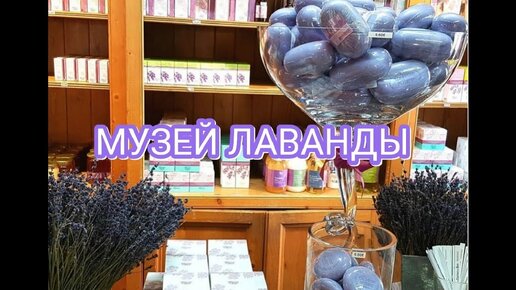 Почему японцы это лучшие туристы во Франции. Музей лаванды