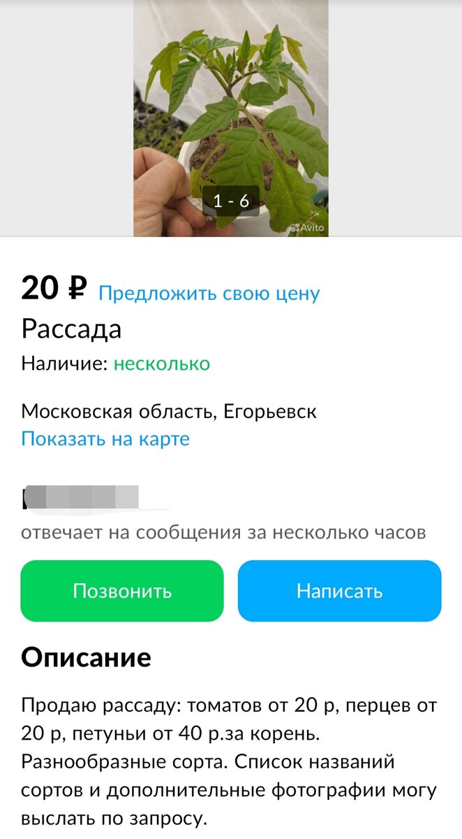 3600 руб | Как я продавала на Авито рассаду. И как ее не надо продавать |  Записки Авитоголика | Дзен