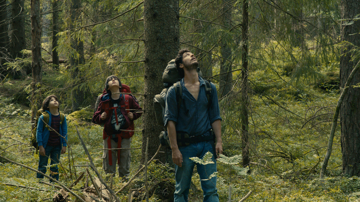 Ужасы про отдых. Фильм dans la foret 2016. В лесу фильм \ into the Forest (2016). Фильм в лесу 2016 Франция