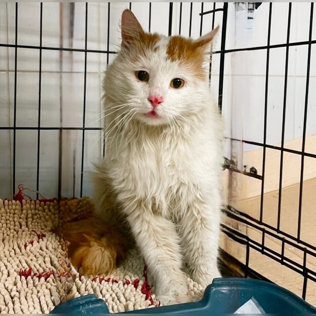 Лэндона нашли во дворе дома. 