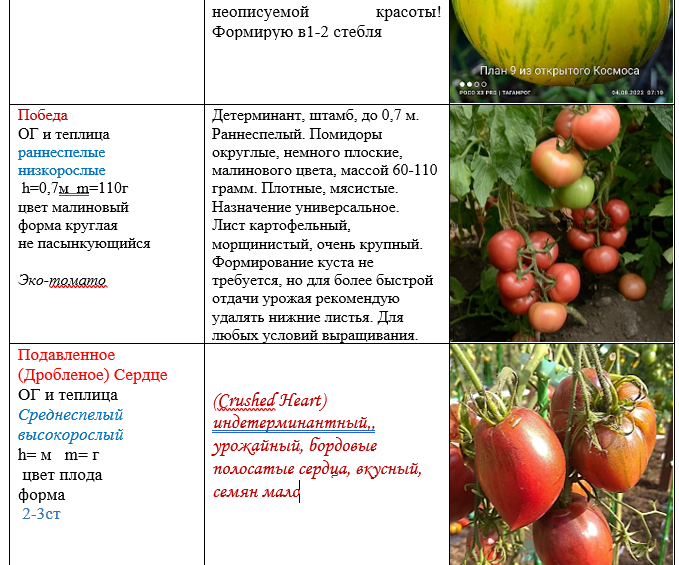 Томат Победа купить на OZON по низкой цене в Беларуси, Минске, Гомеле