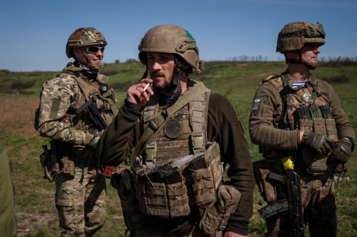    Grayzone: в Европе растет угроза неонацистского террора от боевиков Украины