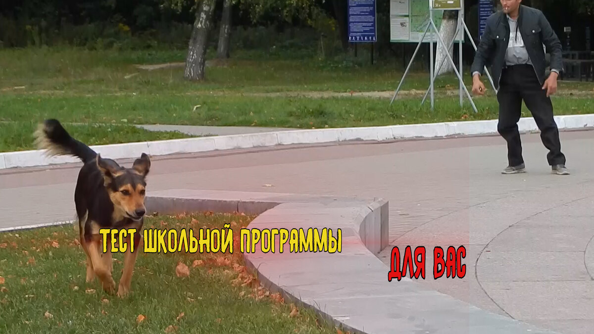 Канал "Тест школьной программы"
