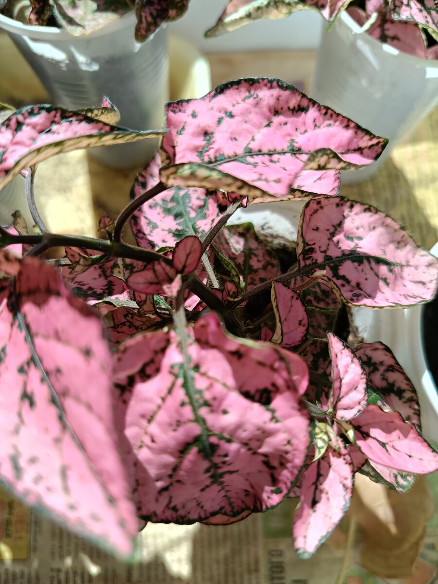 Фото автора статьи. 