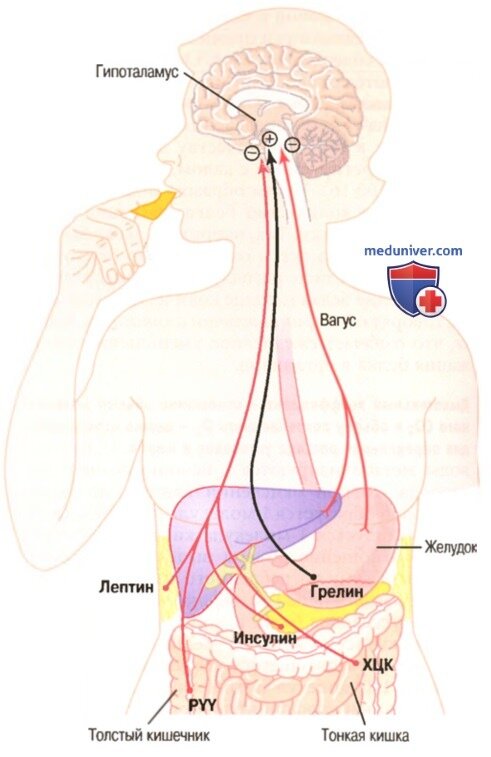 "Центр голода"