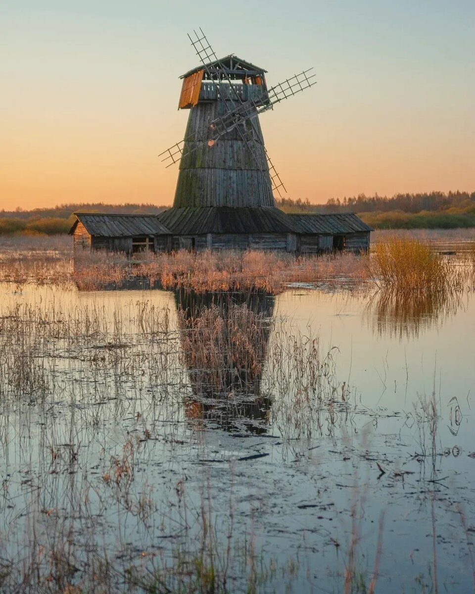 петр косых фотографии