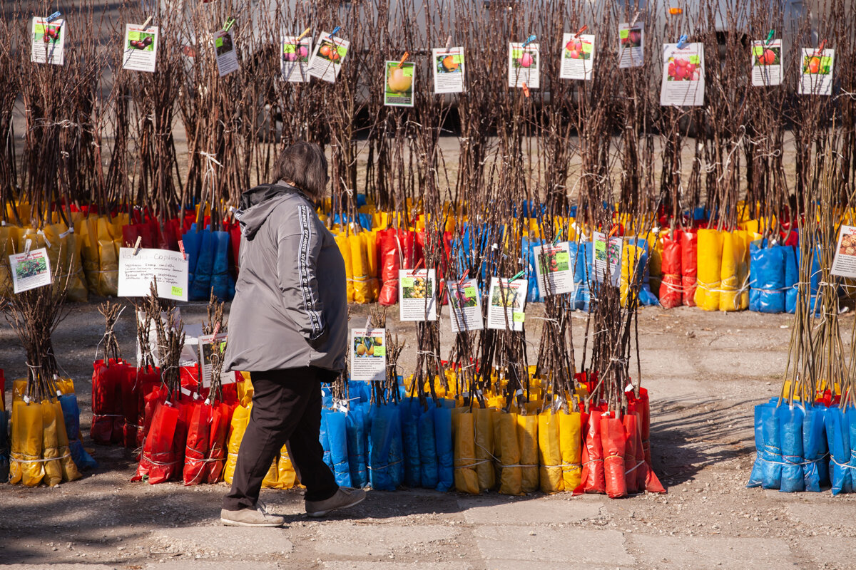 Фото: Владимир Воропаев