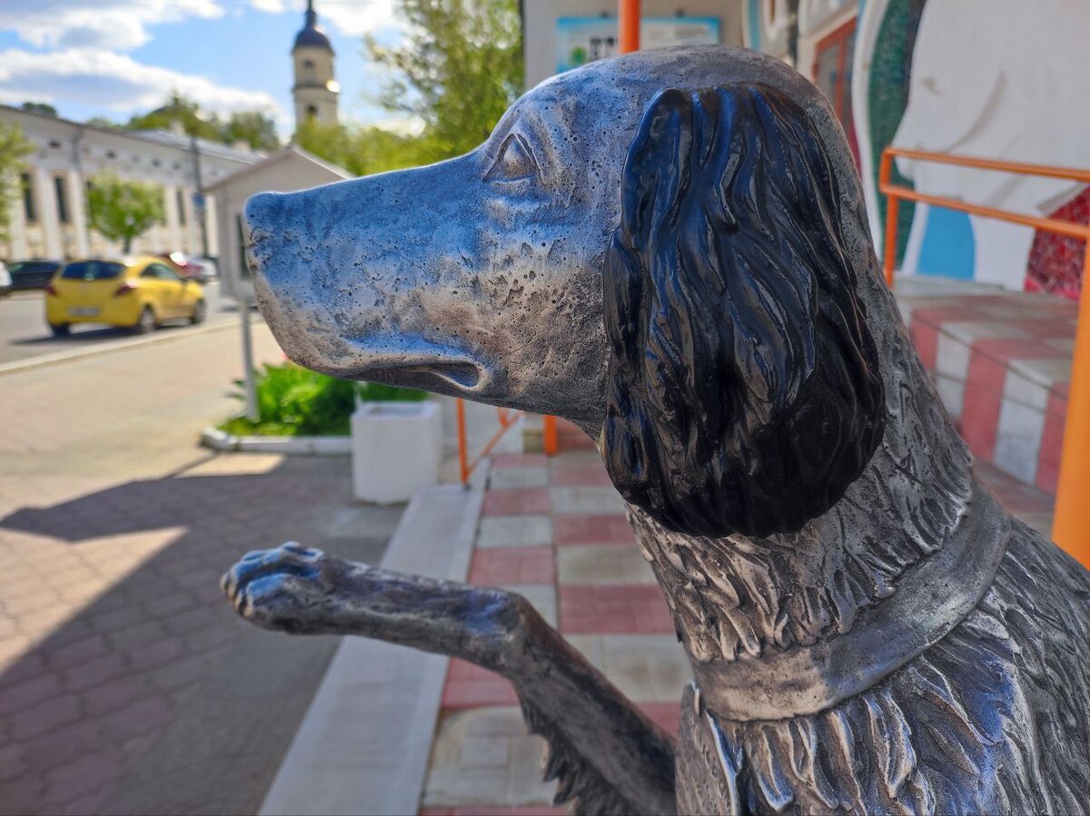 Белый Бим: новый памятник в Калуге | Достопримечательности города:  памятники и скульптуры | Дзен