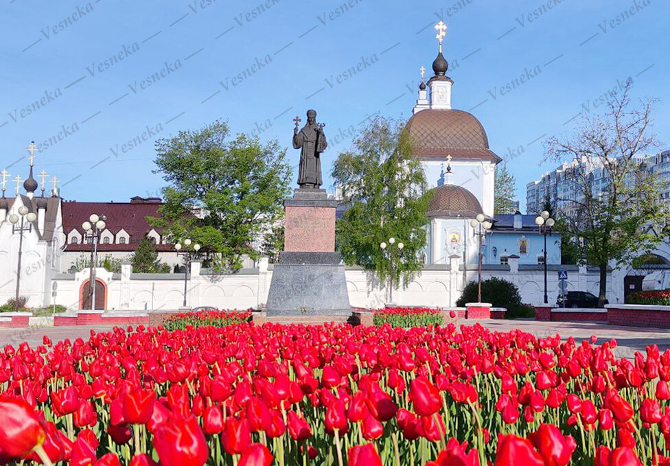 Фото автора