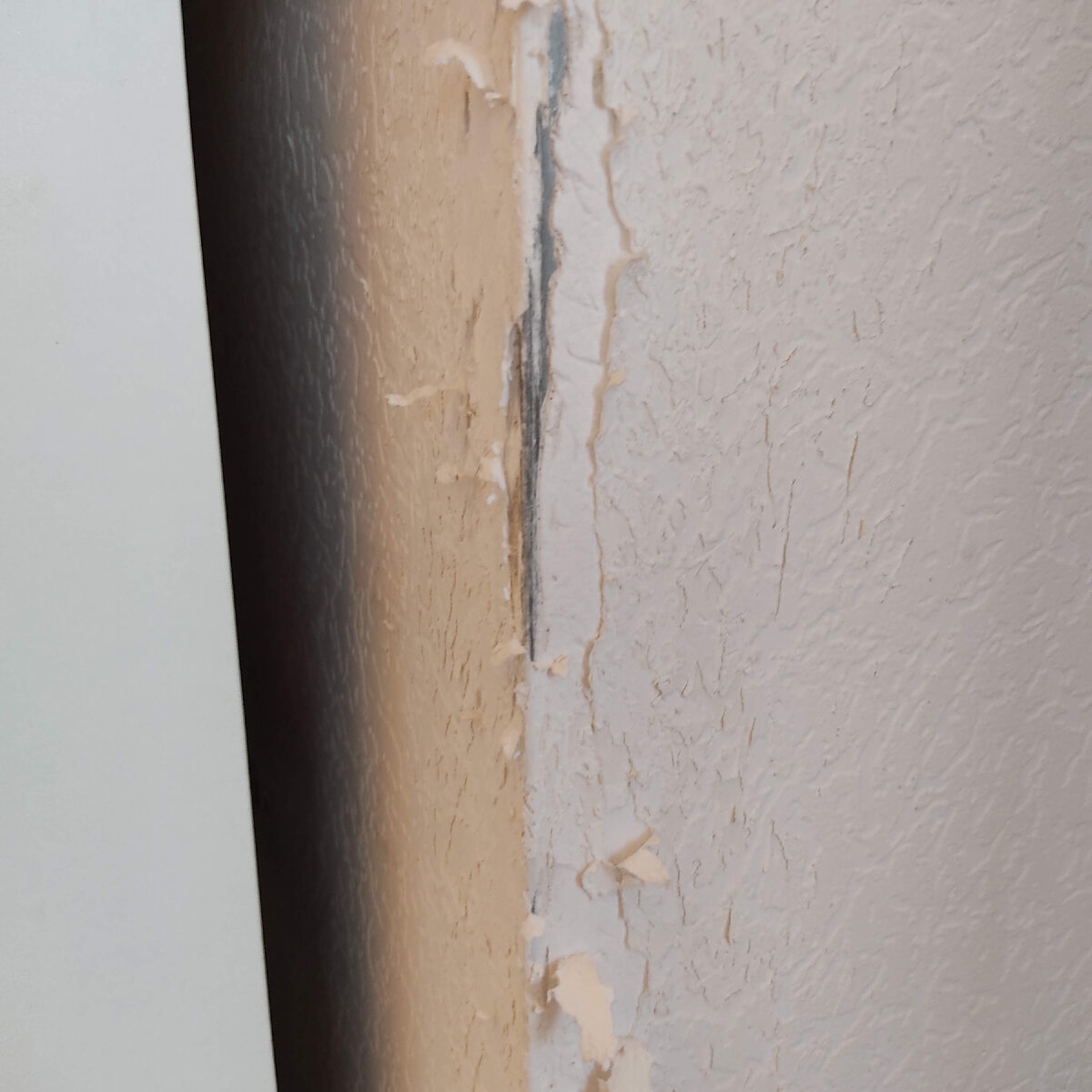 Ремонт мы пока не планировали, поэтому решили закрыть этот угол когтеточкой.