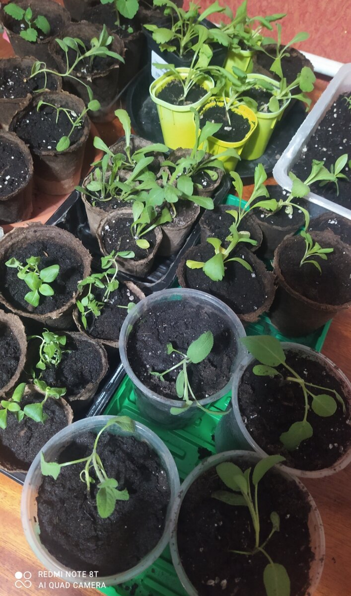 А как хорошо всё начиналось! 