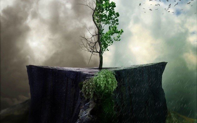 И прорастет!