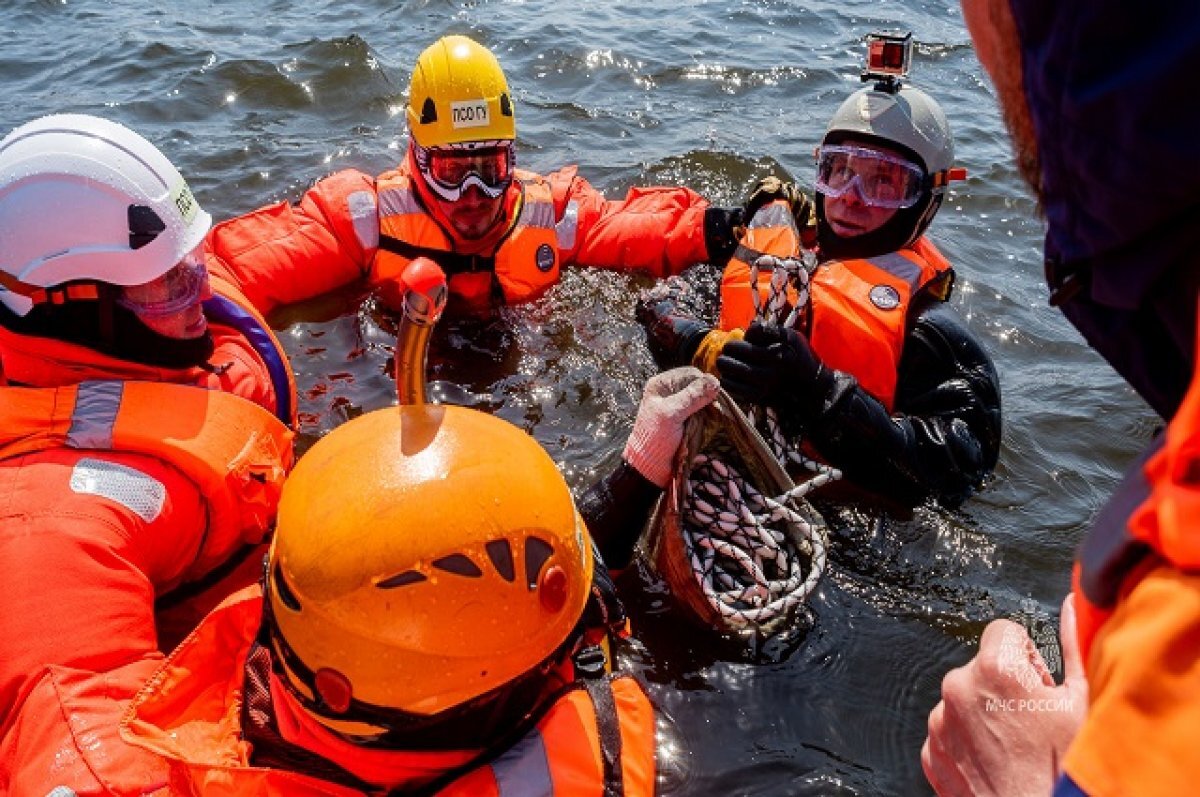    Камчатские спасатели десантировались на Халактырское озеро