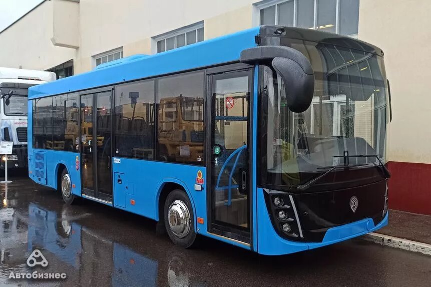 Маз 206 самара. Автобус маз 303266. Маз-303. Маз 303е10. Маз 303065 автобус.