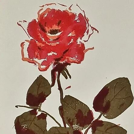 *фото из открытых источников