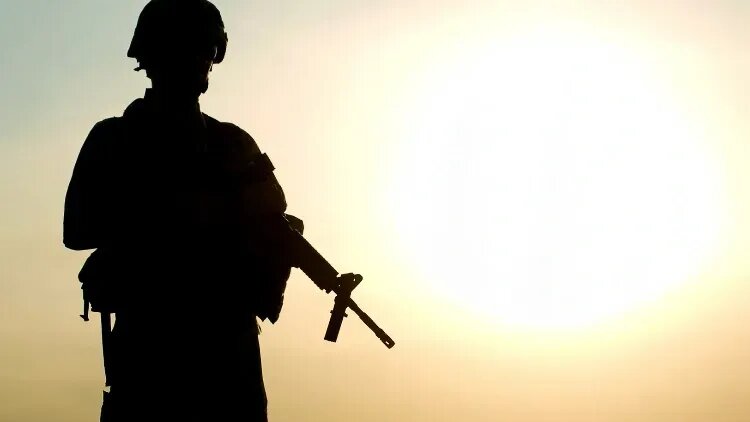 Фото: Getmilitaryphotos/Shutterstock/Fotodom