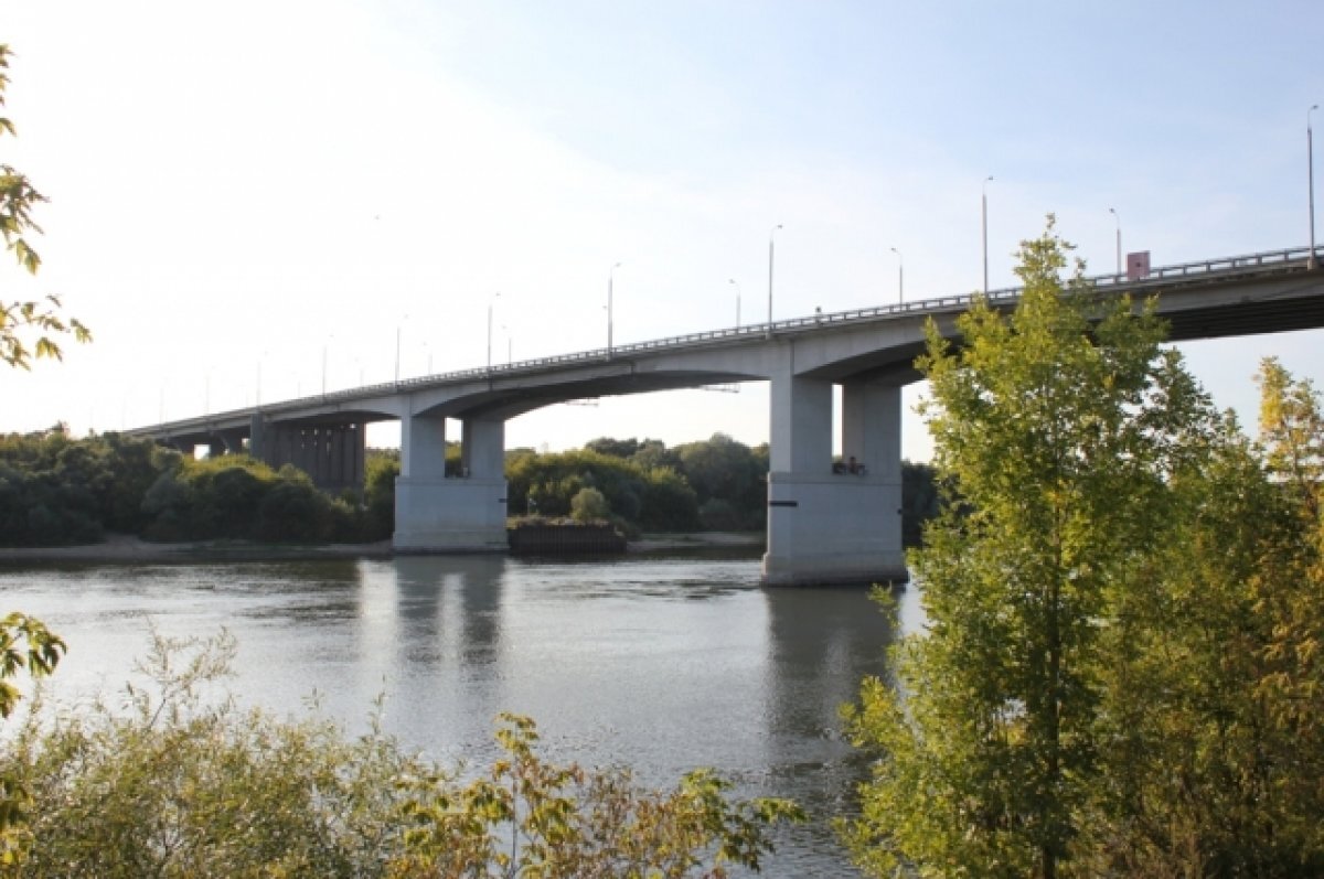 Новый мост через оку в рязани. Солотчинский мост Рязань. Мост Ока Рязань. Солотчинский мост через оку. Мост через реку оку в Рязани.