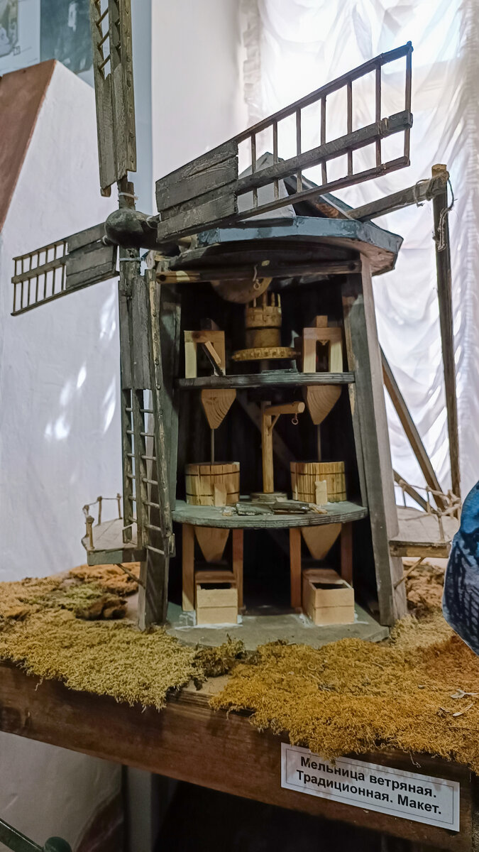 Экспонаты музея