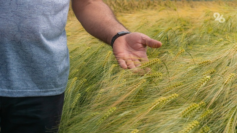 Фото: ИА «Победа26» 