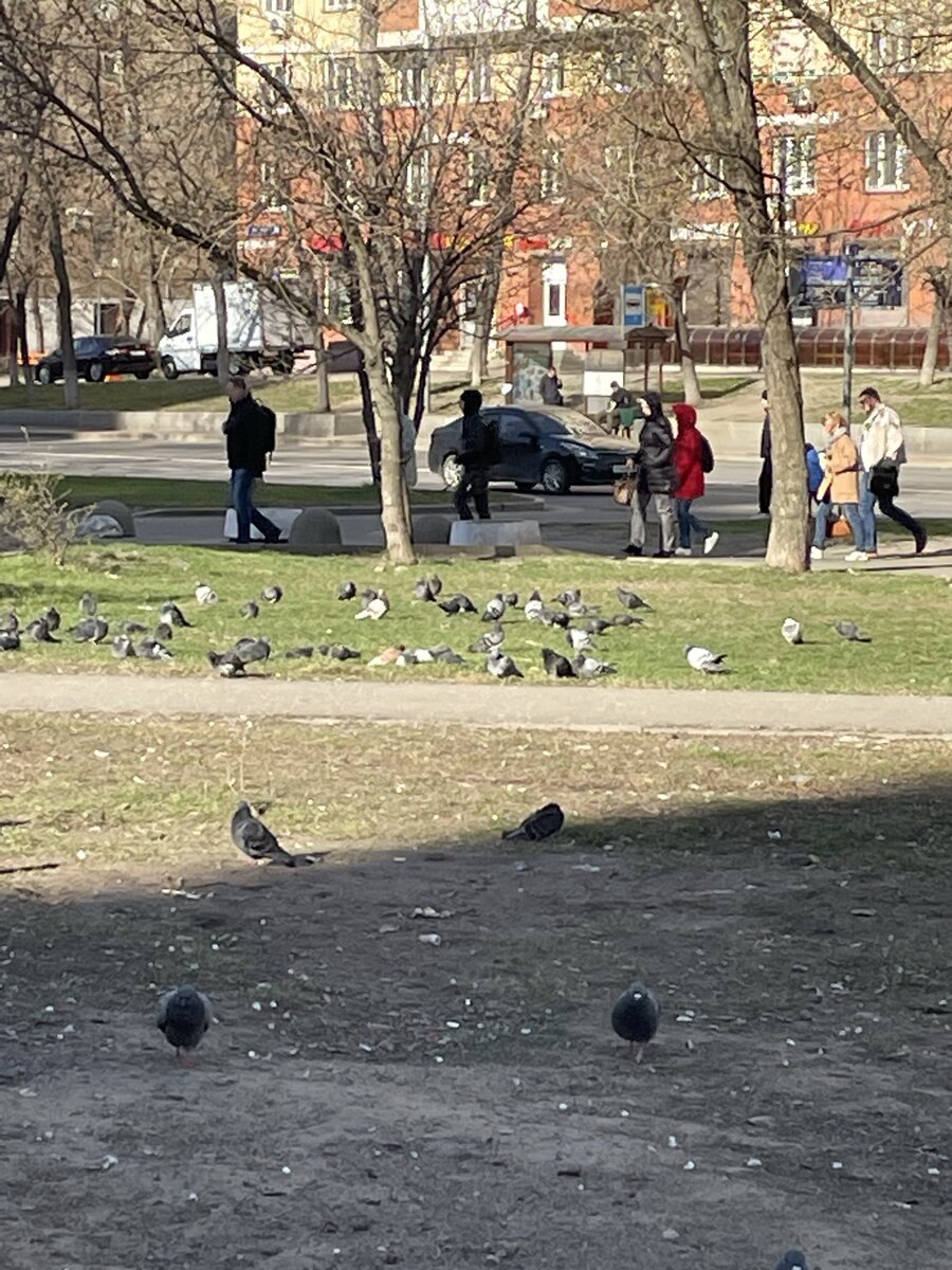 Фото автора.