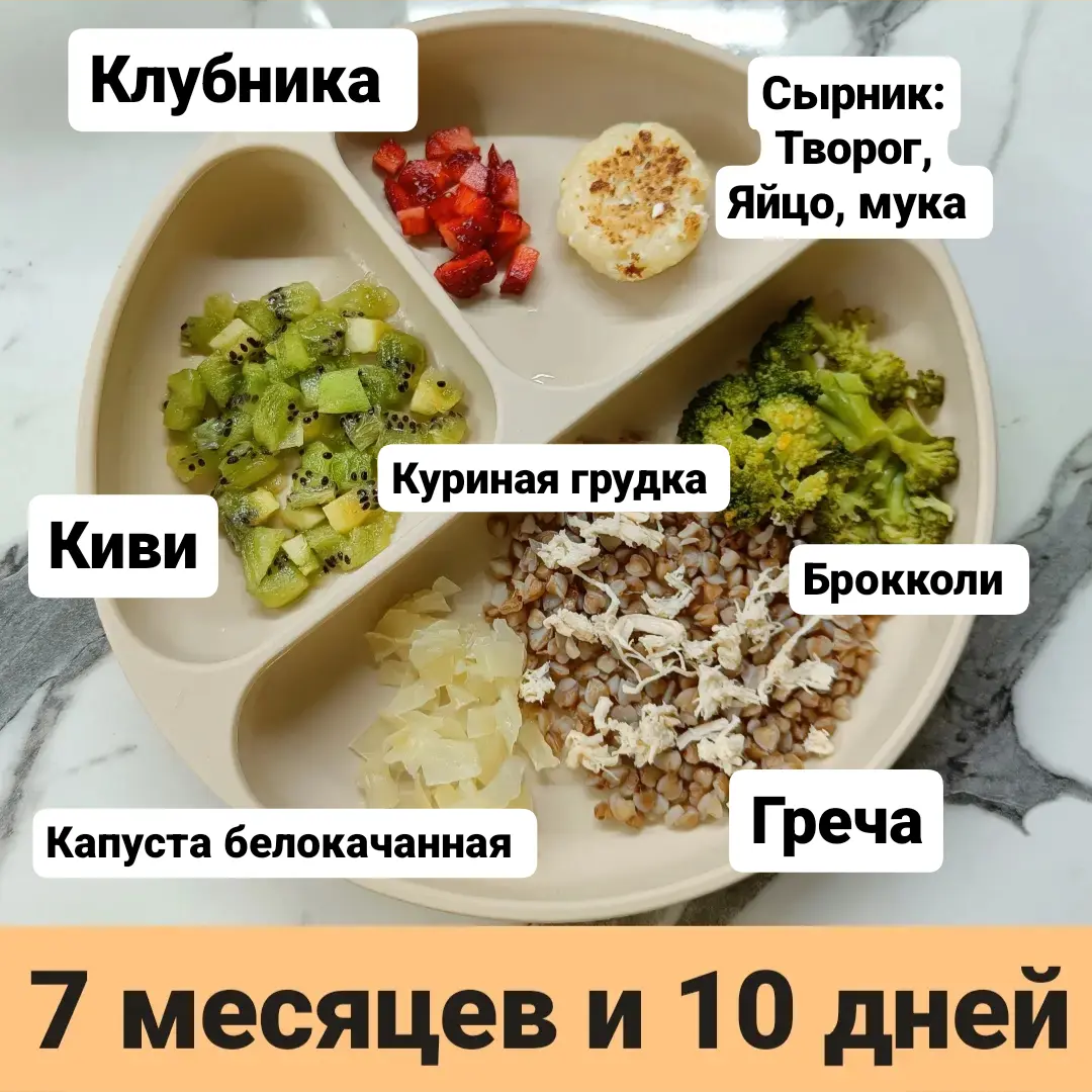Пример тарелки в 7 месяцев 